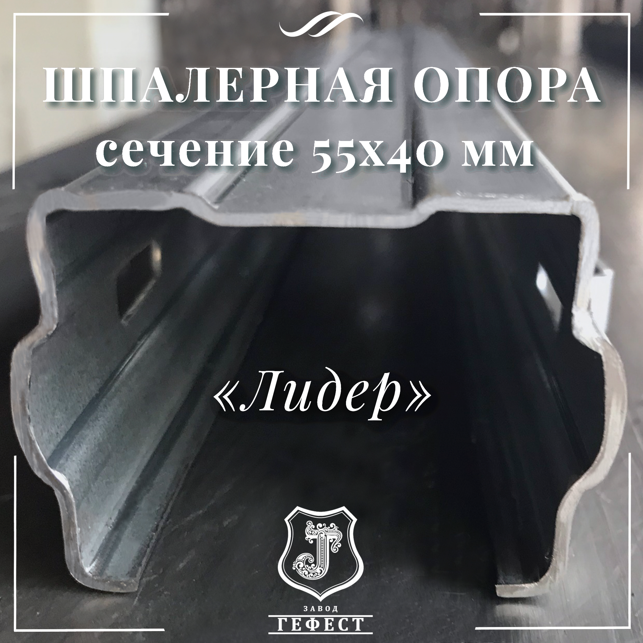 Шпалера для ежевики