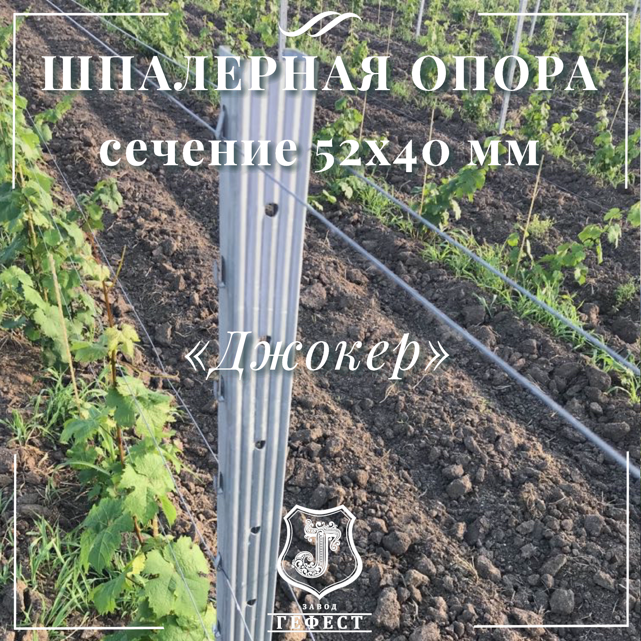 Шпалерная опора сечение 52х40 мм 