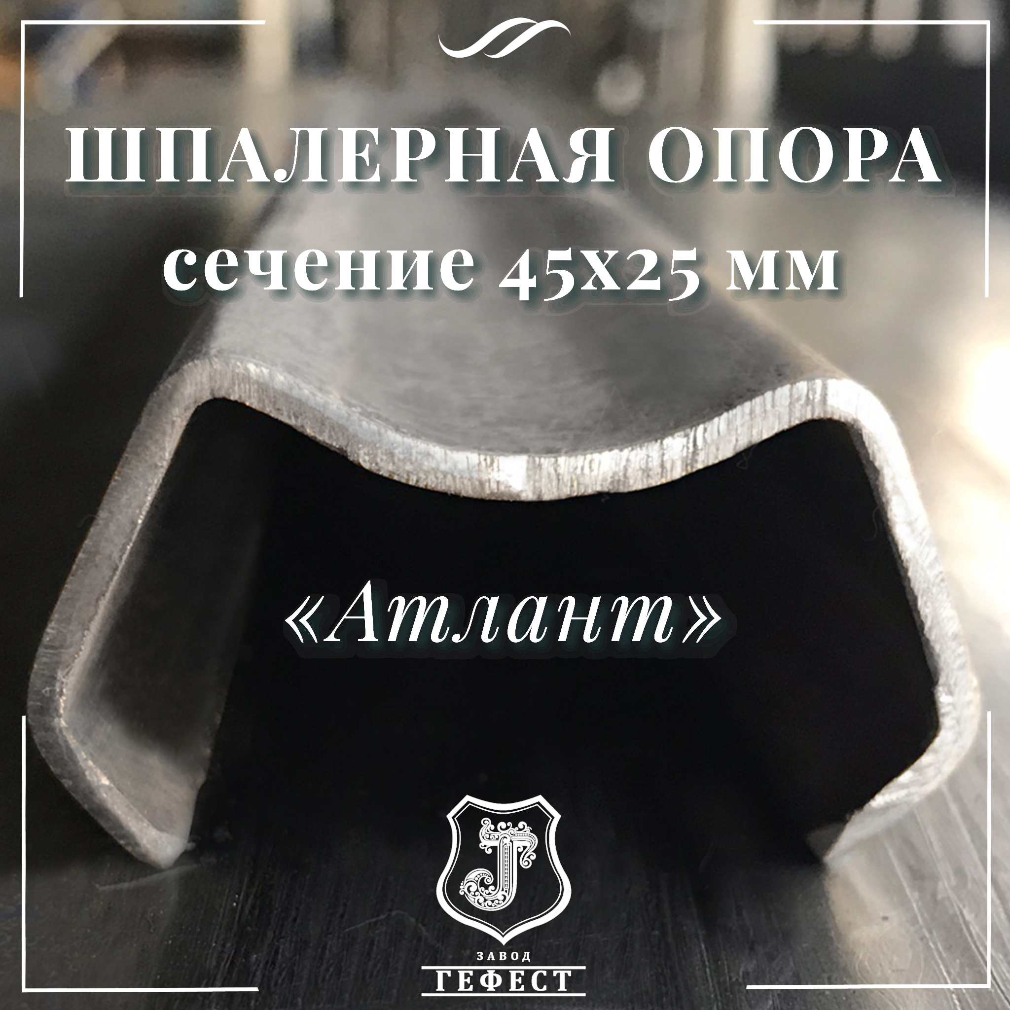 Шпалера для ежевики